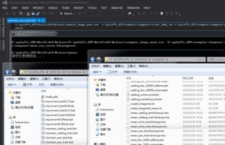 軟件開發中的技術轉讓 關鍵策略與實施步驟