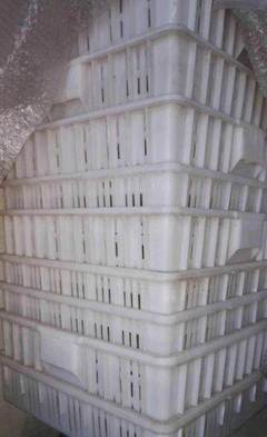 晉中平遙縣豆腐成套設備及技術轉讓服務簡介